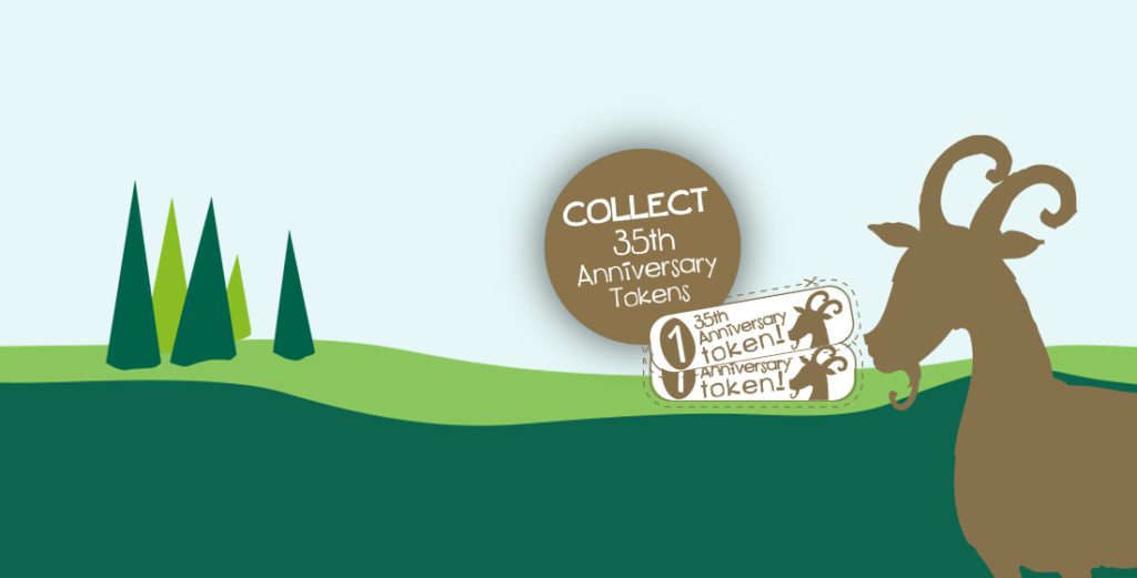 Home page 35 years header 6